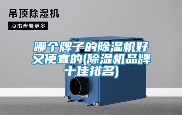 哪个牌子的猫咪成人官网好又便宜的(猫咪成人官网品牌十佳排名)