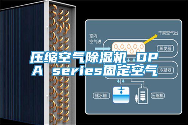 压缩空气猫咪成人官网 DPA series固定空气