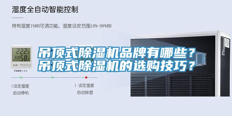 吊顶式猫咪成人官网品牌有哪些？吊顶式猫咪成人官网的选购技巧？