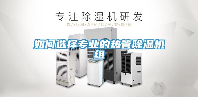 如何选择专业的热管猫咪成人官网组