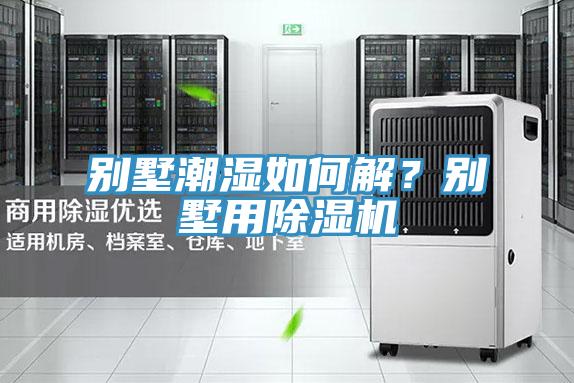 别墅潮湿如何解？别墅用猫咪成人官网