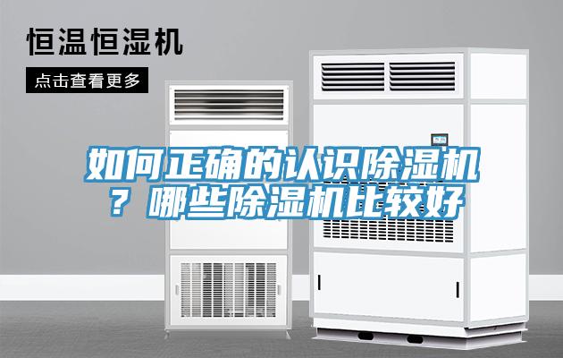 如何正确的认识猫咪成人官网？哪些猫咪成人官网比较好