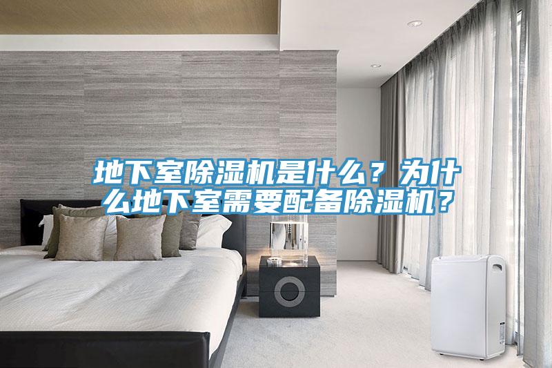 地下室猫咪成人官网是什么？为什么地下室需要配备猫咪成人官网？