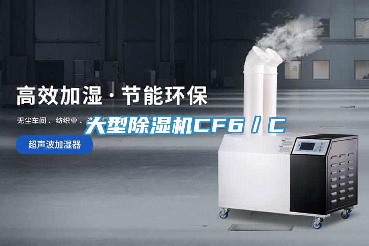 大型猫咪成人官网CF6／C