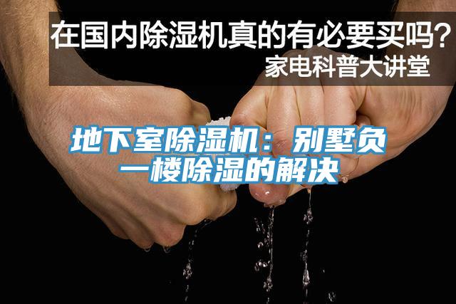 地下室猫咪成人官网：别墅负一楼除湿的解决