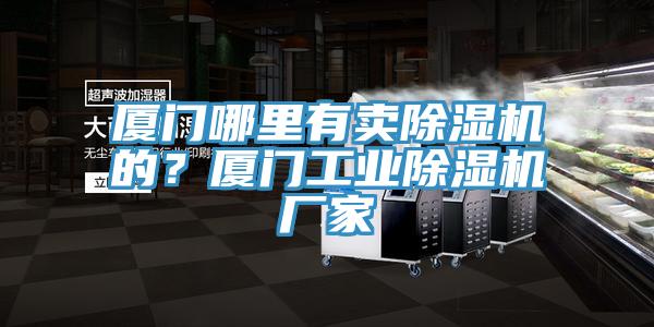 厦门哪里有卖猫咪成人官网的？厦门工业猫咪成人官网厂家