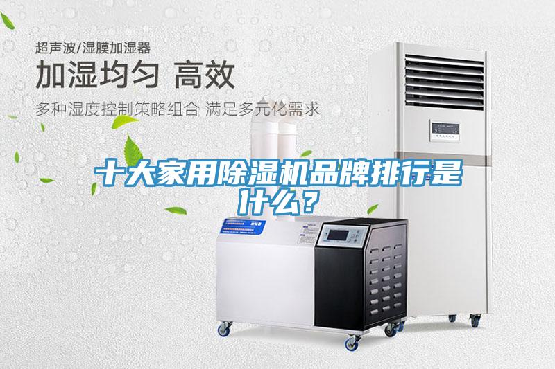 十大家用猫咪成人官网品牌排行是什么？