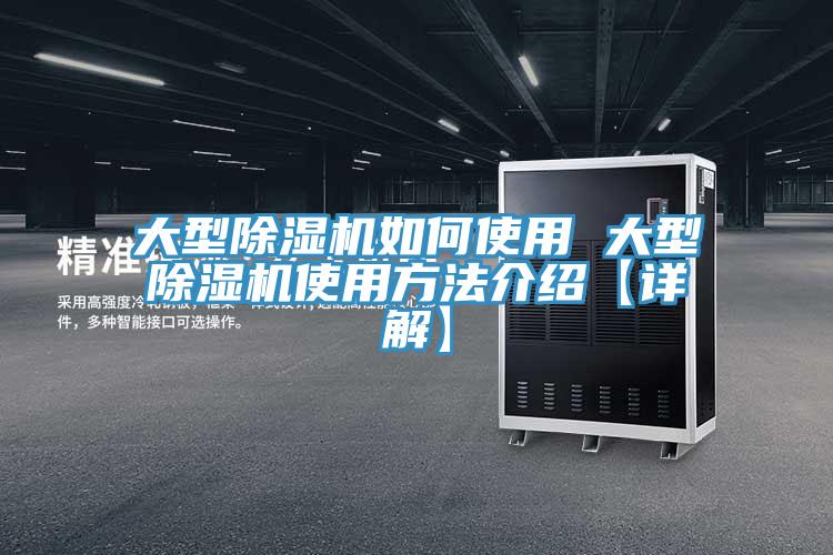 大型猫咪成人官网如何使用 大型猫咪成人官网使用方法介绍【详解】