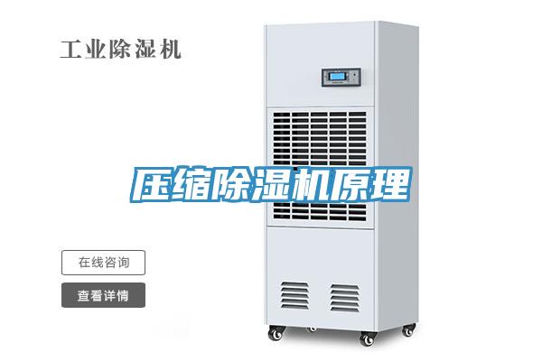 压缩猫咪成人官网原理