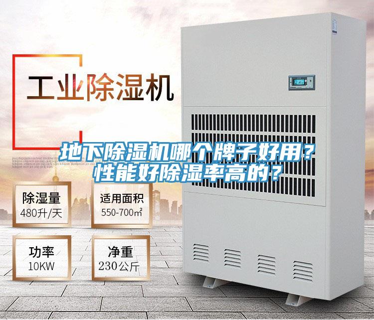 地下猫咪成人官网哪个牌子好用？性能好除湿率高的？