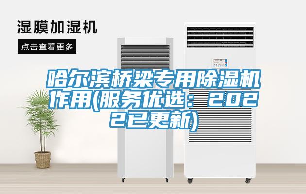 哈尔滨桥梁专用猫咪成人官网作用(服务优选：2022已更新)