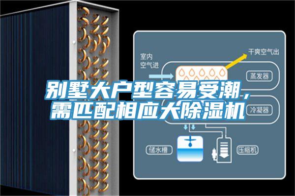 别墅大户型容易受潮，需匹配相应大猫咪成人官网