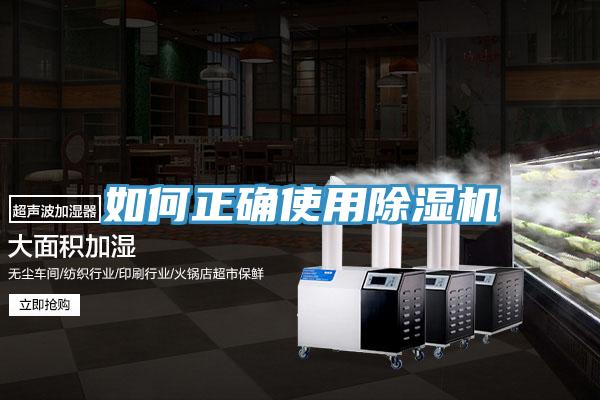 如何正确使用猫咪成人官网