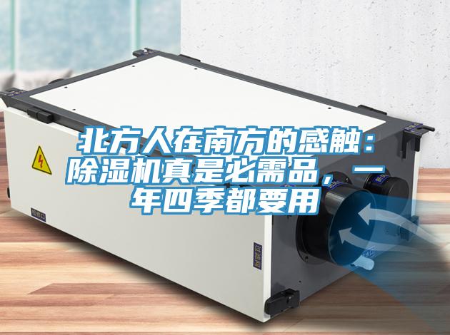 北方人在南方的感触：猫咪成人官网真是必需品，一年四季都要用