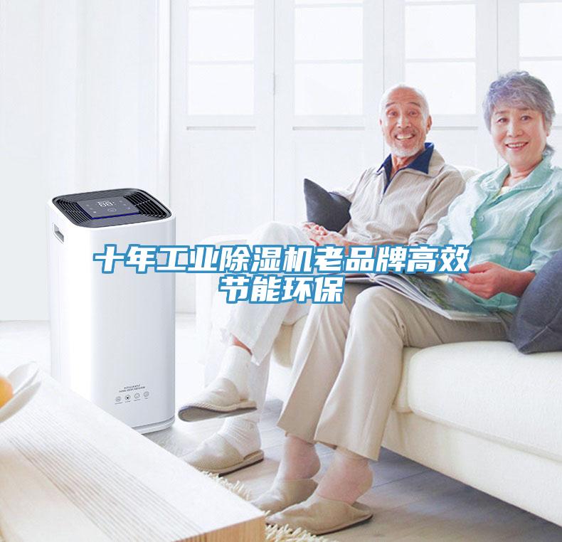 十年工业猫咪成人官网老品牌高效节能环保