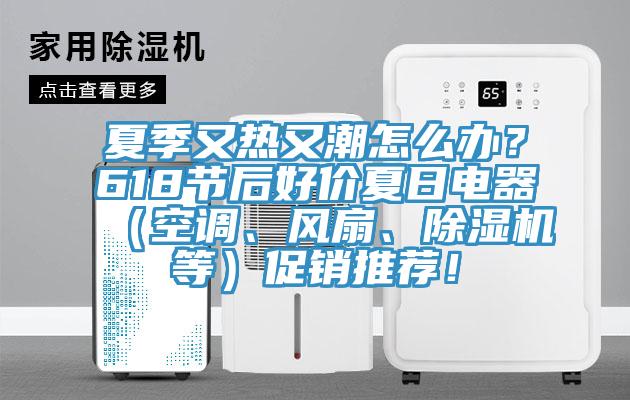 夏季又热又潮怎么办？618节后好价夏日电器（空调、风扇、猫咪成人官网等）促销推荐！
