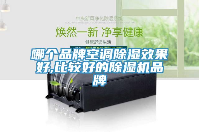 哪个品牌空调除湿效果好,比较好的猫咪成人官网品牌