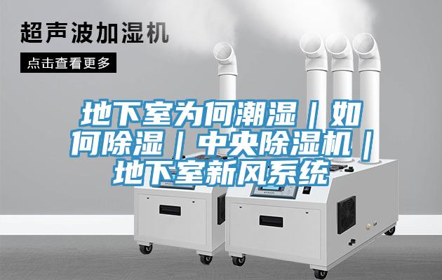 地下室为何潮湿｜如何除湿｜中央猫咪成人官网｜地下室新风系统