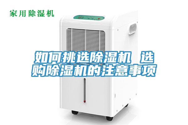 如何挑选猫咪成人官网 选购猫咪成人官网的注意事项