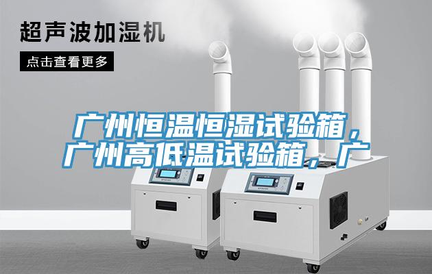 广州恒温恒湿试验箱，广州高低温试验箱，广