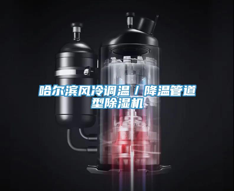 哈尔滨风冷调温／降温管道型猫咪成人官网