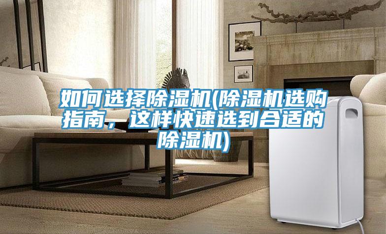 如何选择猫咪成人官网(猫咪成人官网选购指南，这样快速选到合适的猫咪成人官网)