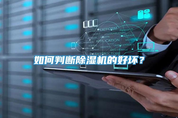 如何判断猫咪成人官网的好坏？