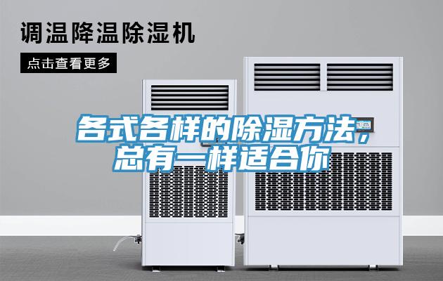 各式各样的除湿方法，总有一样适合你