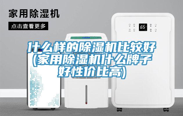 什么样的猫咪成人官网比较好(家用猫咪成人官网什么牌子好性价比高)