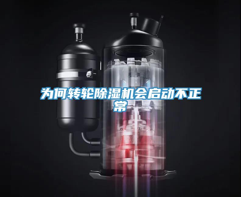 为何转轮猫咪成人官网会启动不正常