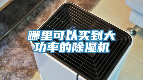 哪里可以买到大功率的猫咪成人官网