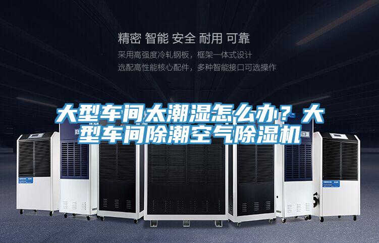 大型车间太潮湿怎么办？大型车间除潮空气猫咪成人官网