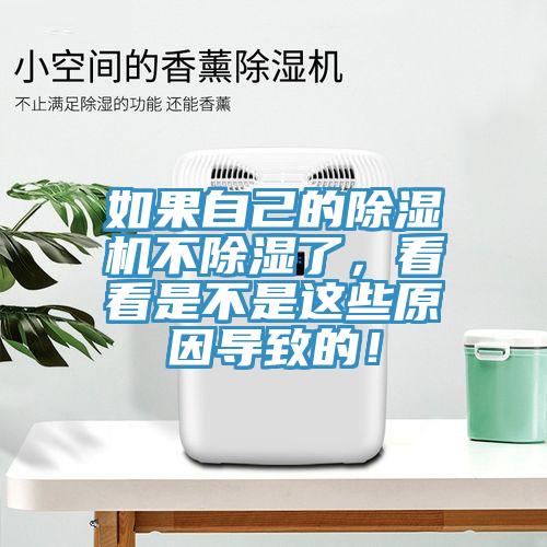 如果自己的猫咪成人官网不除湿了，看看是不是这些原因导致的！