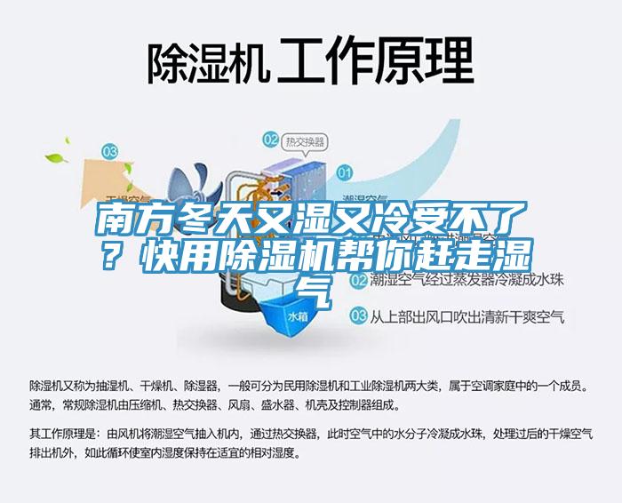 南方冬天又湿又冷受不了？快用猫咪成人官网帮你赶走湿气