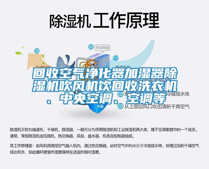 回收空气净化器加湿器猫咪成人官网吹风机饮回收洗衣机、中央空调、空调等