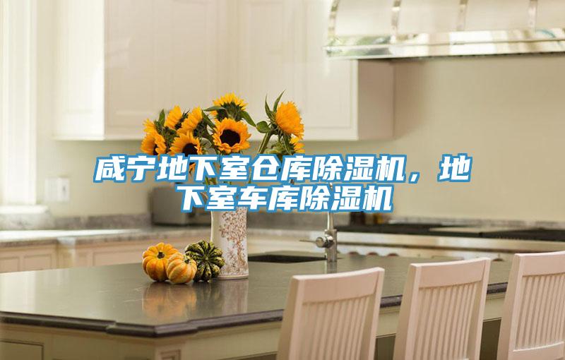 咸宁地下室仓库猫咪成人官网，地下室车库猫咪成人官网