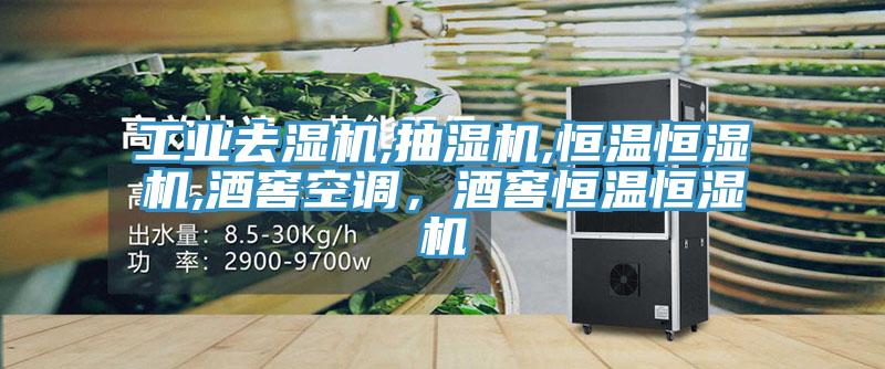 工业去湿机,抽湿机,恒温恒湿机,酒窖空调，酒窖恒温恒湿机
