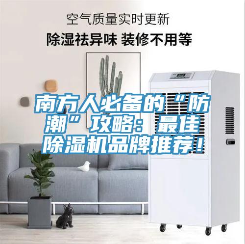 南方人必备的“防潮”攻略：最佳猫咪成人官网品牌推荐！