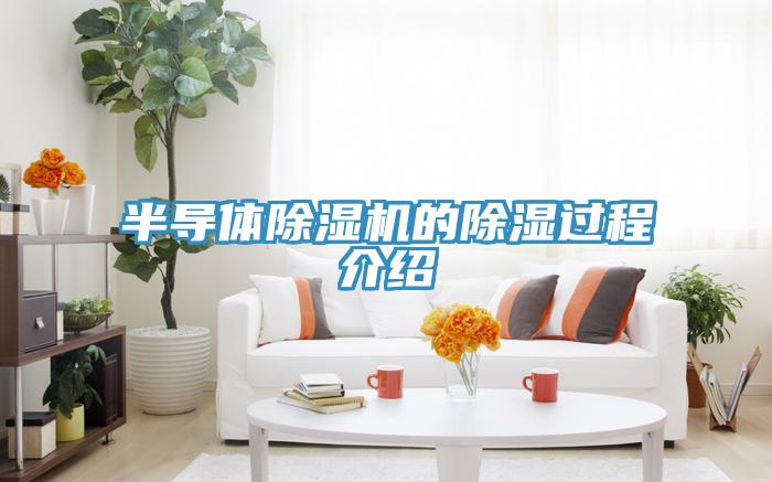 半导体猫咪成人官网的除湿过程介绍