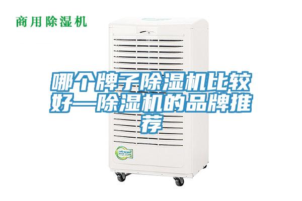 哪个牌子猫咪成人官网比较好—猫咪成人官网的品牌推荐