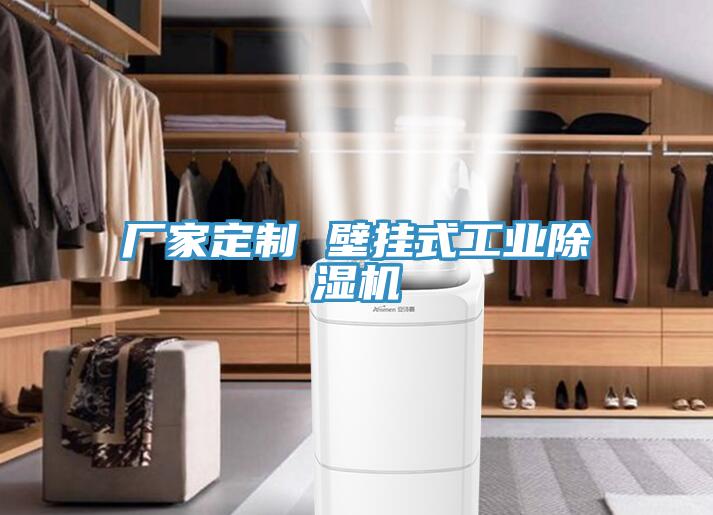 厂家定制 壁挂式工业猫咪成人官网