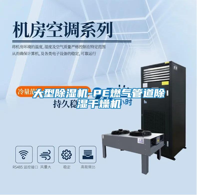 大型猫咪成人官网-PE燃气管道除湿干燥机