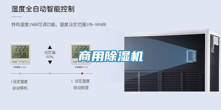 商用猫咪成人官网