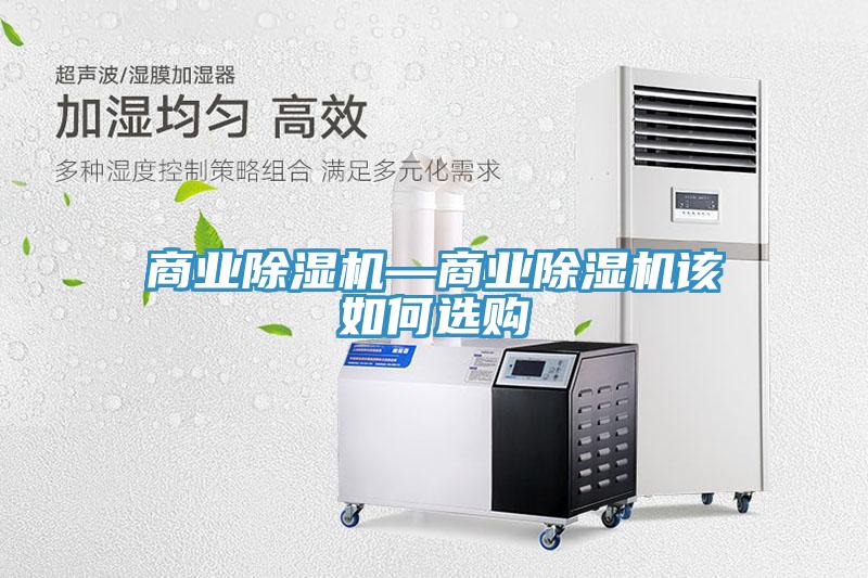 商业猫咪成人官网—商业猫咪成人官网该如何选购