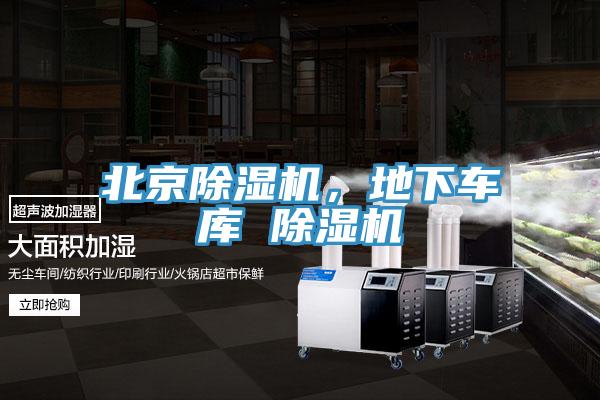 北京猫咪成人官网，地下车库 猫咪成人官网