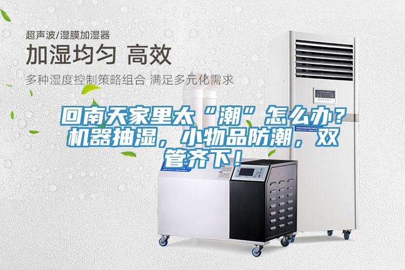 回南天家里太“潮”怎么办？机器抽湿，小物品防潮，双管齐下！