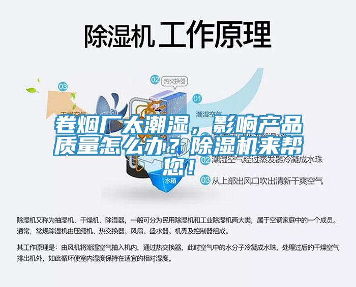 卷烟厂太潮湿，影响产品质量怎么办？猫咪成人官网来帮您！