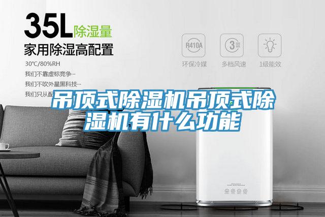 吊顶式猫咪成人官网吊顶式猫咪成人官网有什么功能