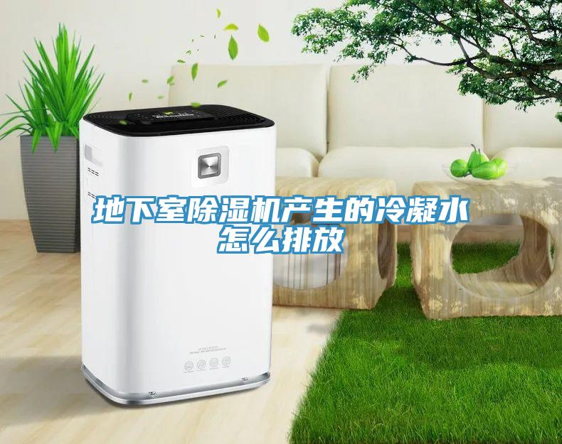 地下室猫咪成人官网产生的冷凝水怎么排放