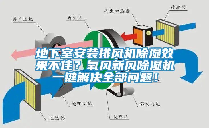 地下室安装排风机除湿效果不佳？氧风新风猫咪成人官网一键解决全部问题！